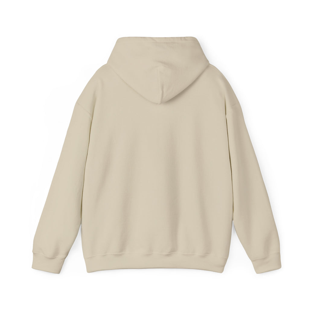 CHILLTOWN'S HOODIE