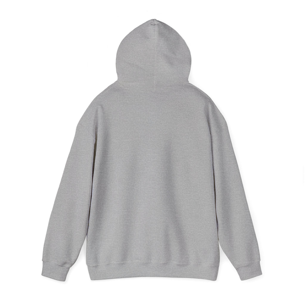 CHILLTOWN'S HOODIE